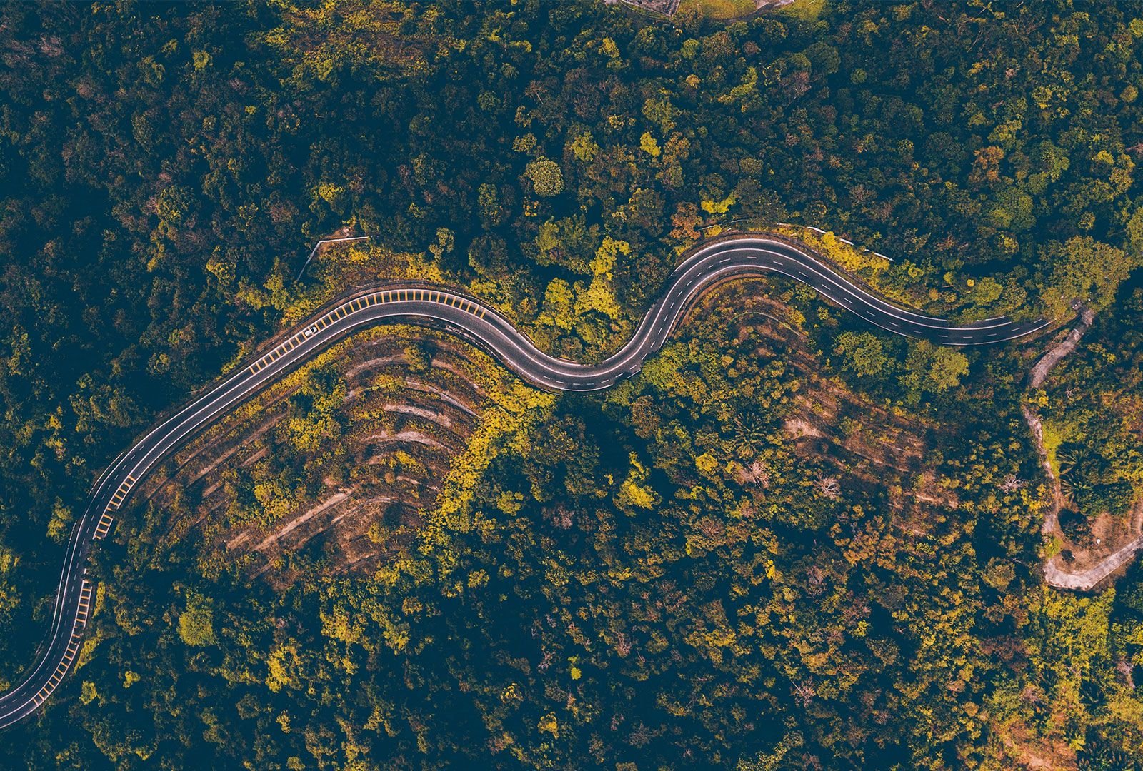Road Paint